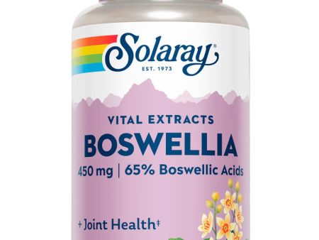 Boswellia Resin Extract - 450mg 60 Capsules Discount