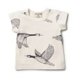 Let’s fly away tee on Sale