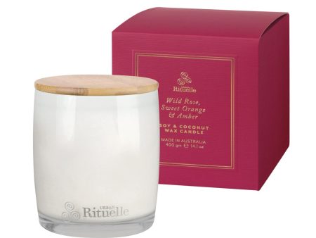 Wild rose , sweet orange and amber 400gm candle Online