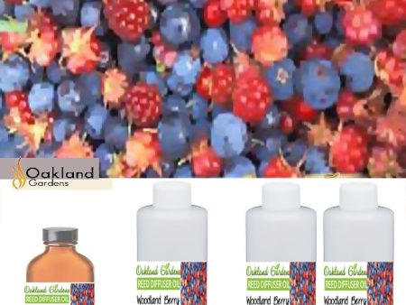 Woodland Berry Reed Oil Supply