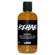 Rehab Online Hot Sale