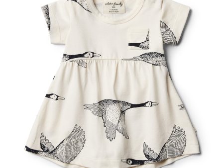 Let’s fly away dress Sale