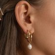 Venus Gold Hoop Earrings Hot on Sale