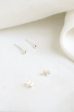 Silver Tiny Studs Fashion