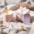 Argan Skincare Candle, Festive Orange & Frankincense Online Sale