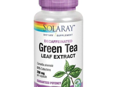 Green Tea Leaf Extract - 500mg 30 Capsules Discount