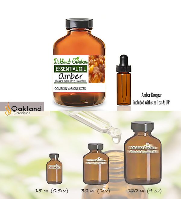 Amber Essential Oil  (Pinus Succinifera) Supply