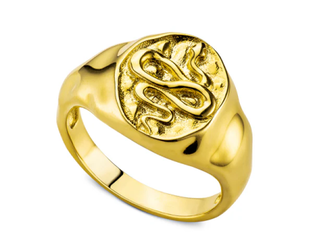 Snake Signet Ring - Gold For Discount