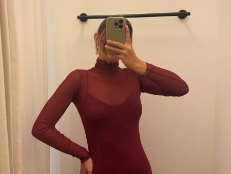 Burgandy Mesh Dress Online Sale